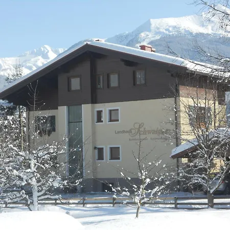 Apartment Schwaiger *