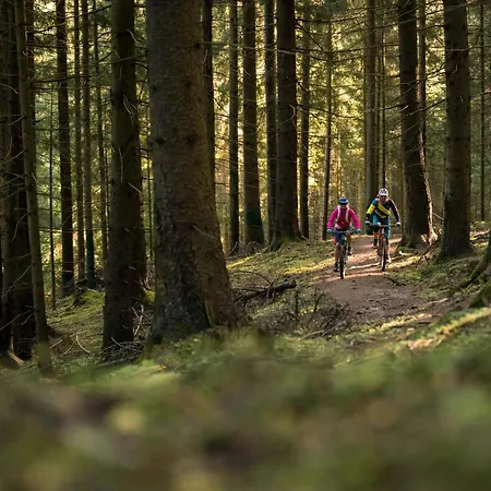 Apartment Schwaiger *