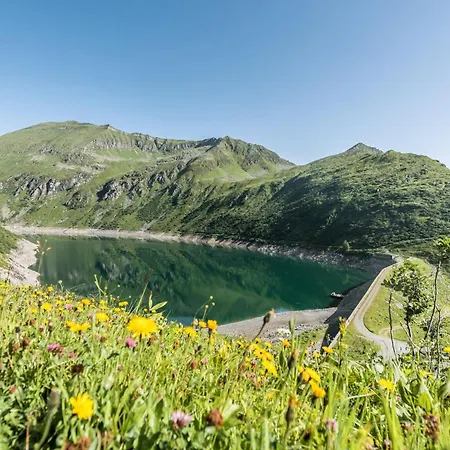 Schwaiger Apartment Bad Hofgastein